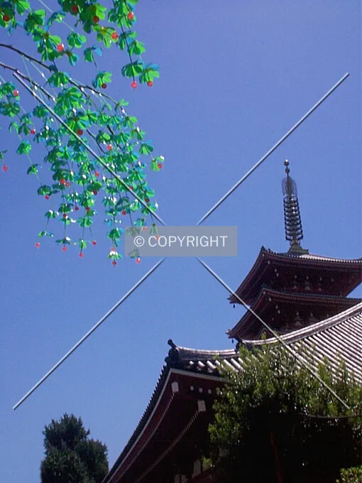 Photo 077-726-135