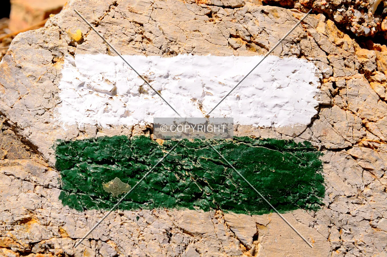 Green and white path sign