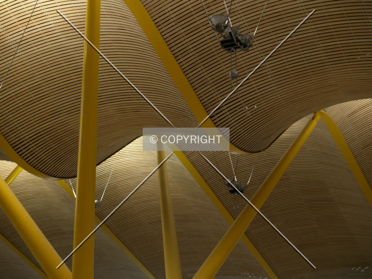 Detail of the ceiling