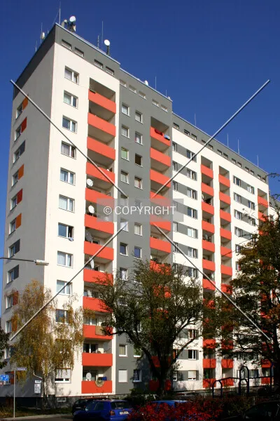Photo 777-437-232
