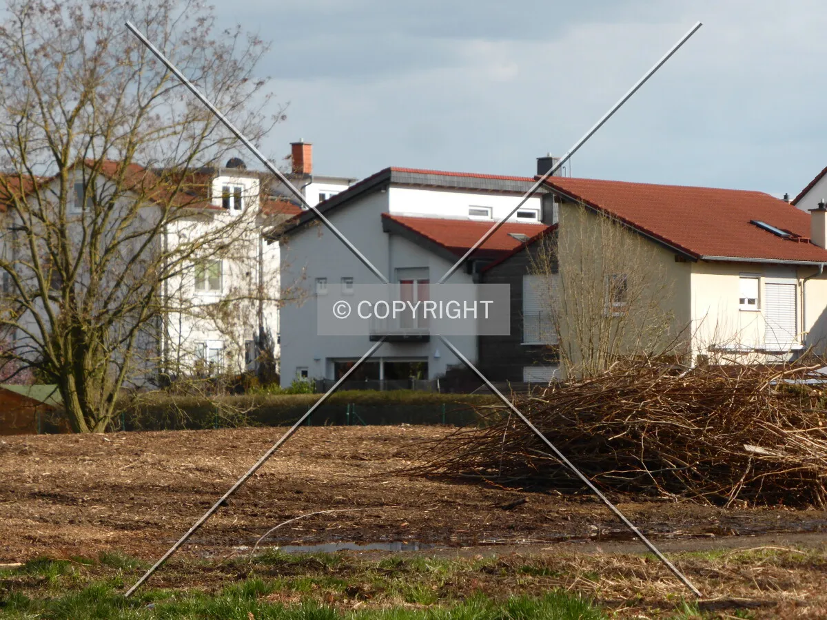Photo 077-770-793