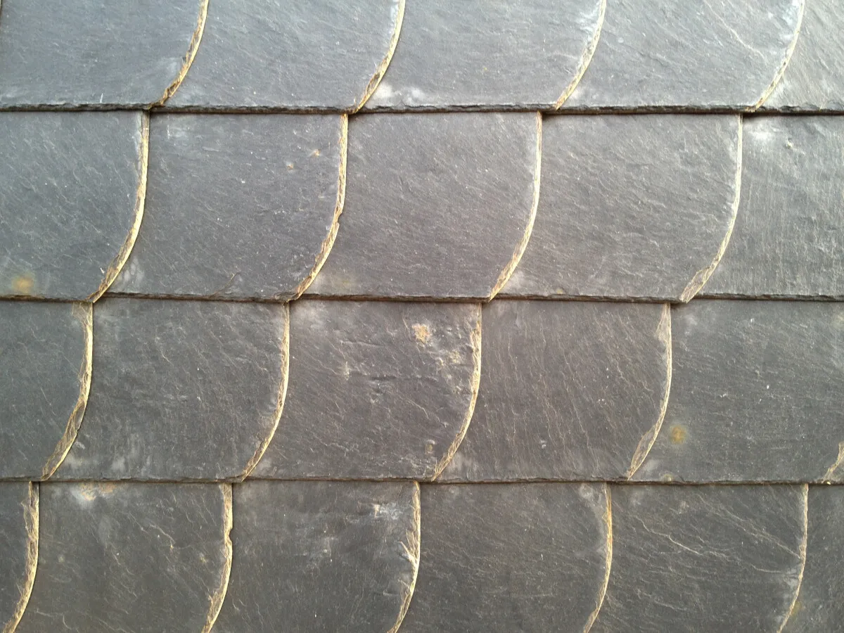 Photo 778-007-263