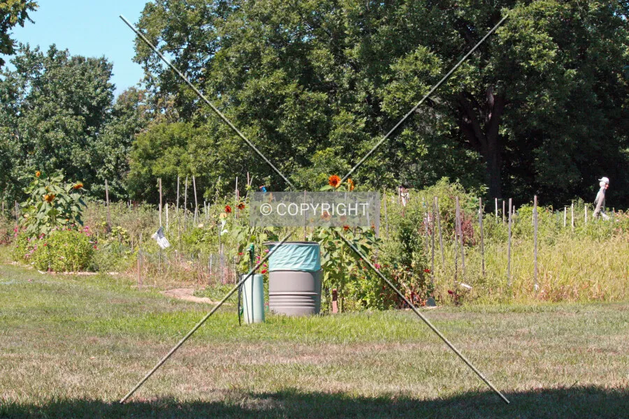 Photo 778-045-994