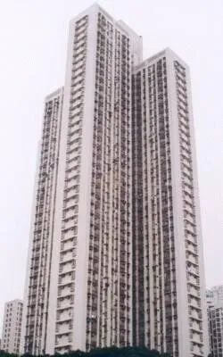 Daytime, near angle view
