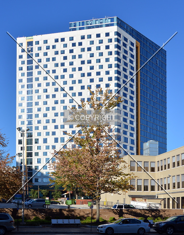 View from the southwest