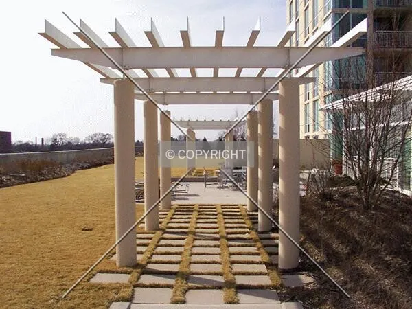 Looking west through the trellis