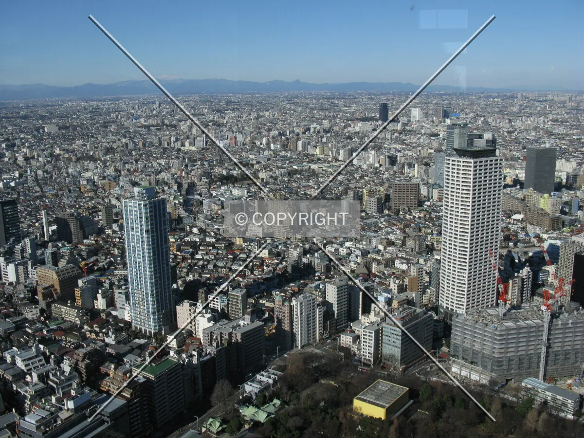 Photo 778-595-546