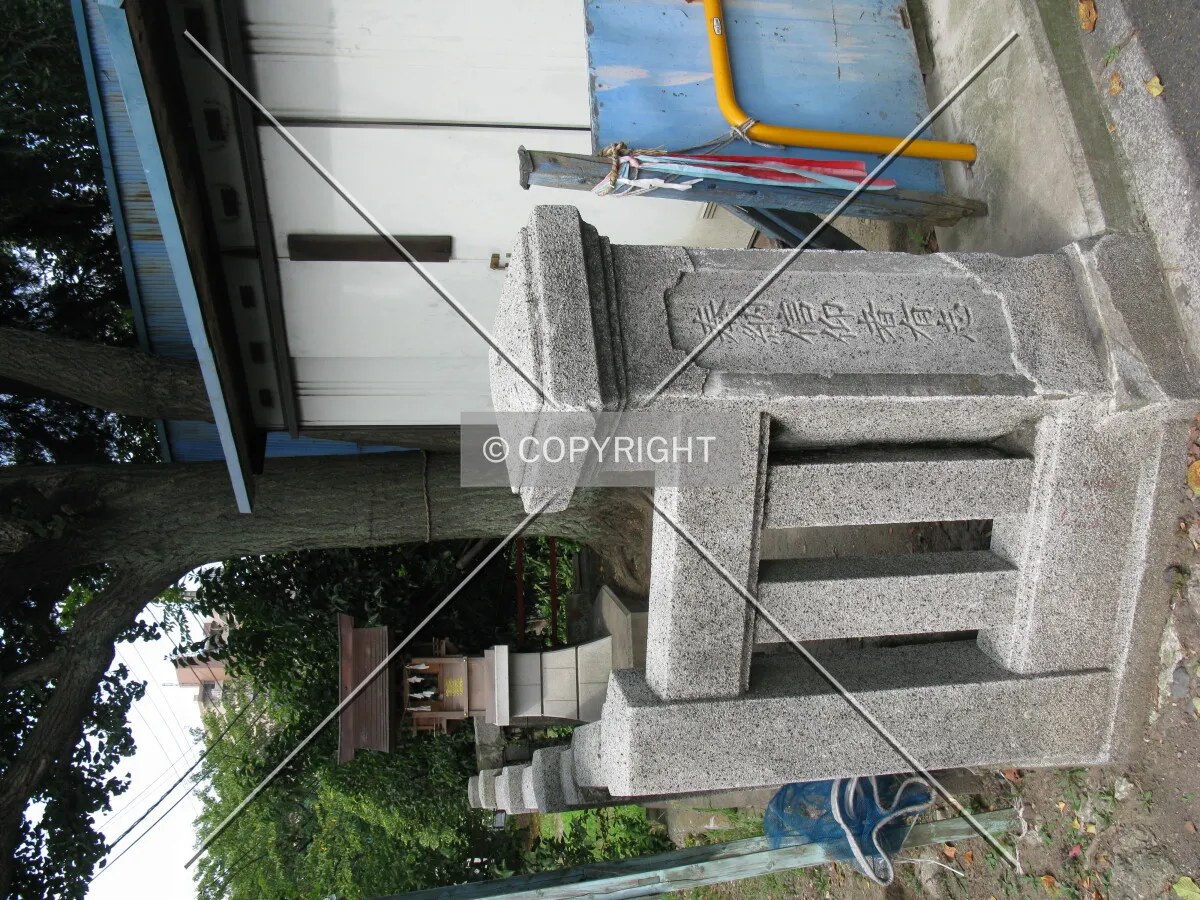 Photo 779-003-784