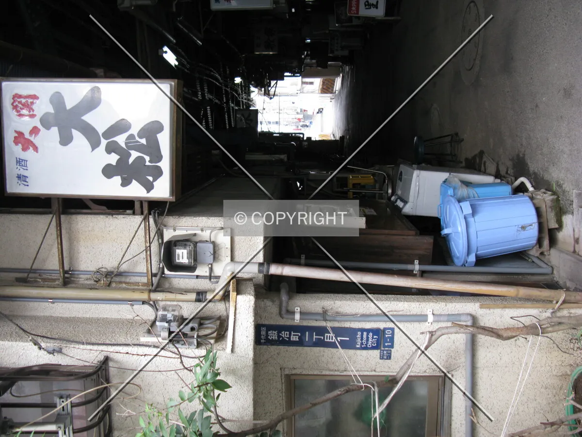 Photo 779-147-487
