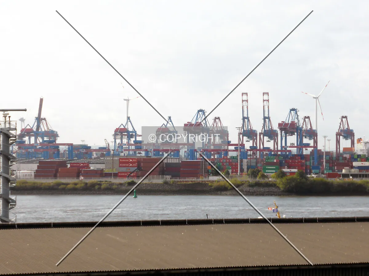 Cranes at the Elbe river