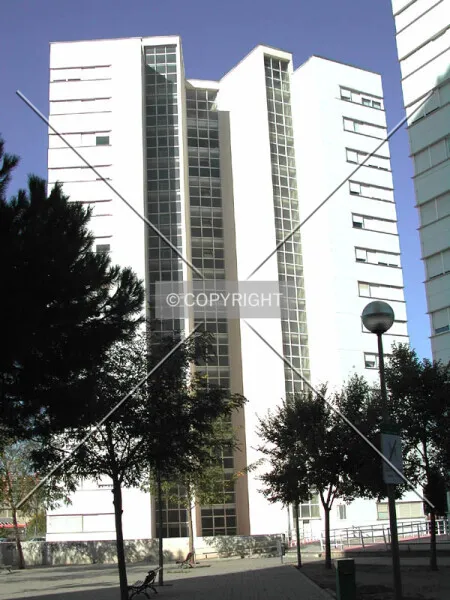 Photo 779-350-822