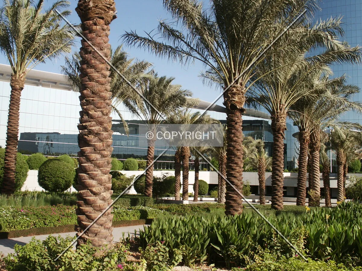 North garden