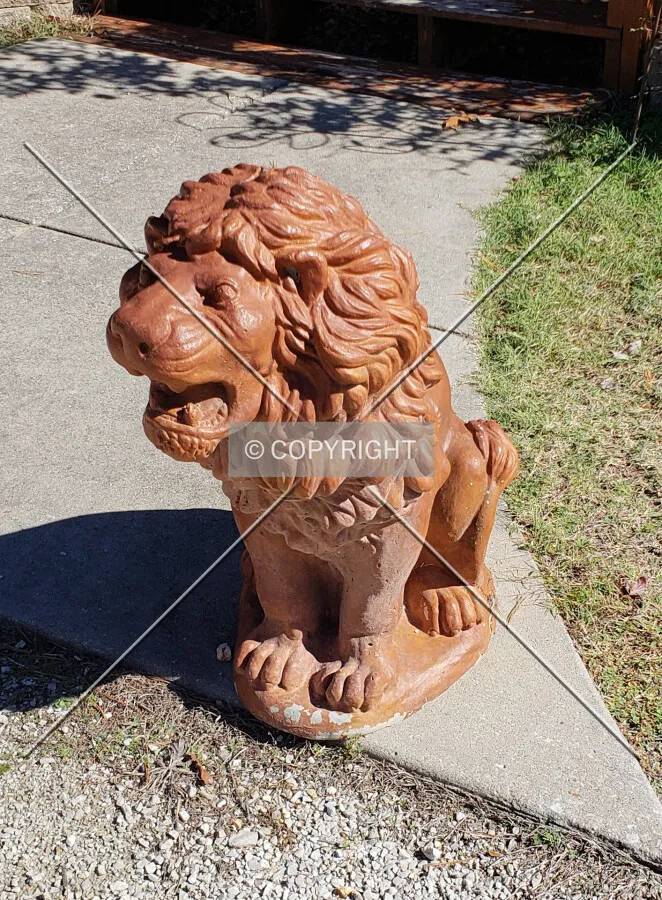 A lion next to the rear gazebo; October 21, 2018