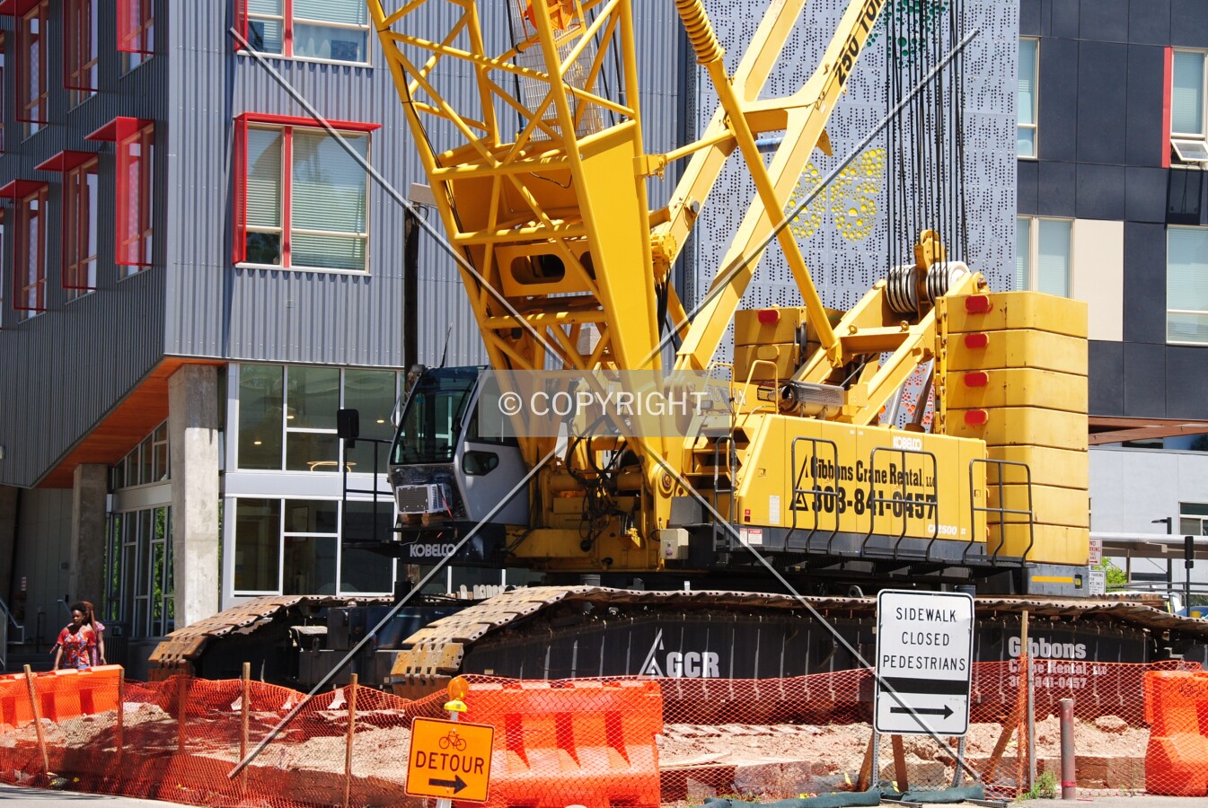 Crawler crane