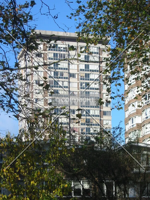Through the trees from Oxford Square