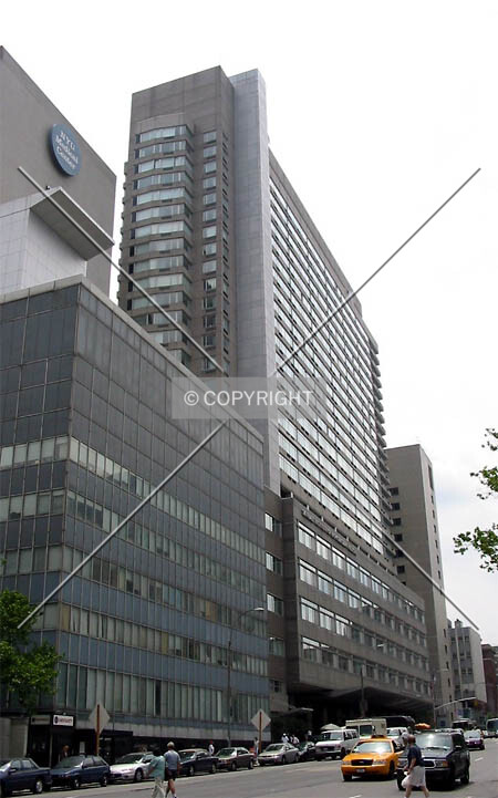 View from the north