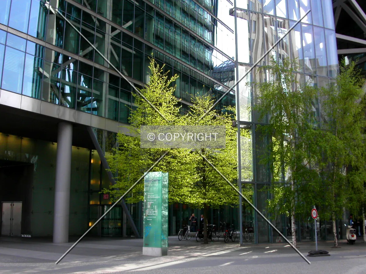 Detail of the entrance to the patio