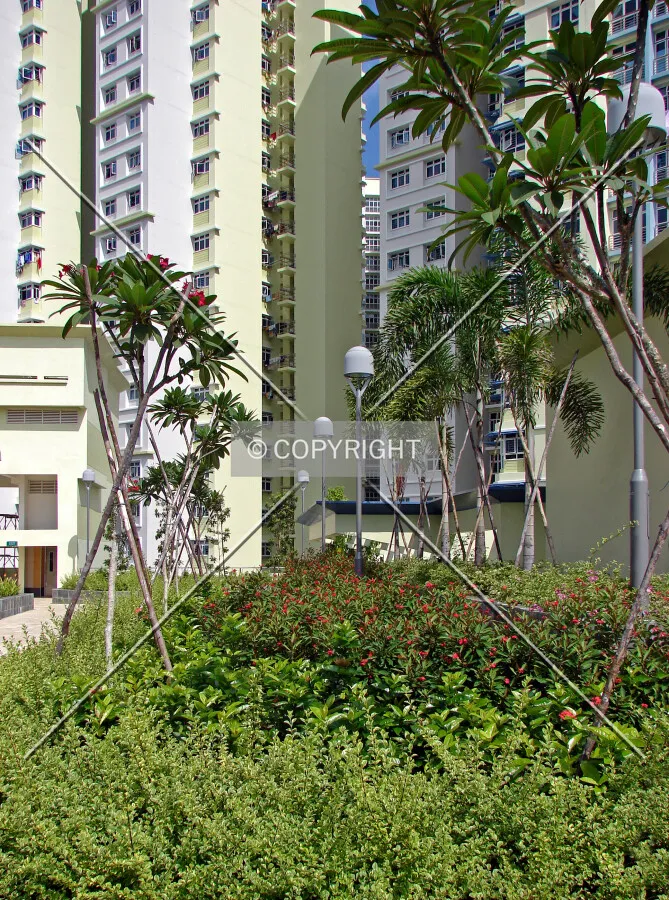 The roof garden as seen from the south