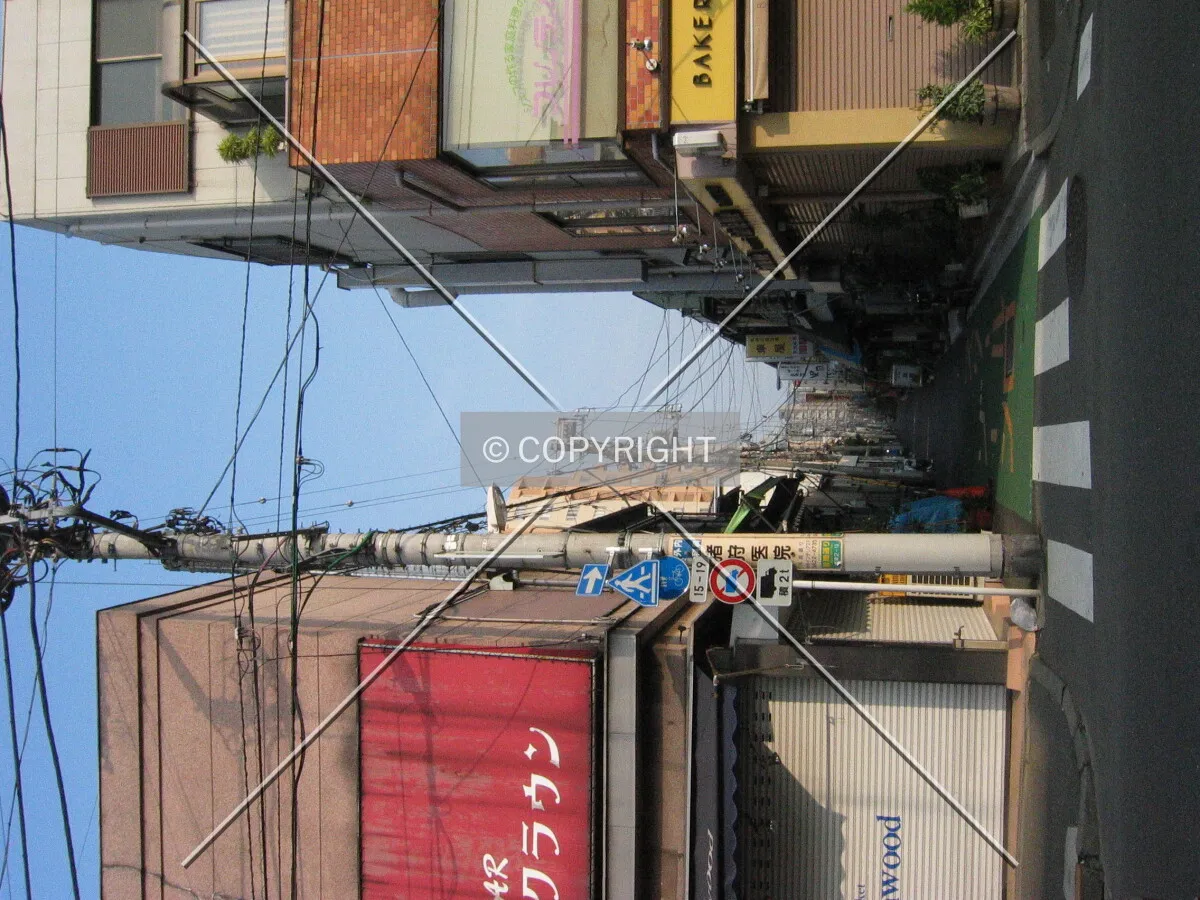 Photo 781-639-663