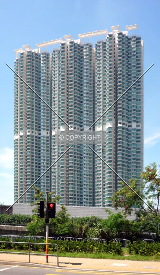 View from Tat Tung Road
