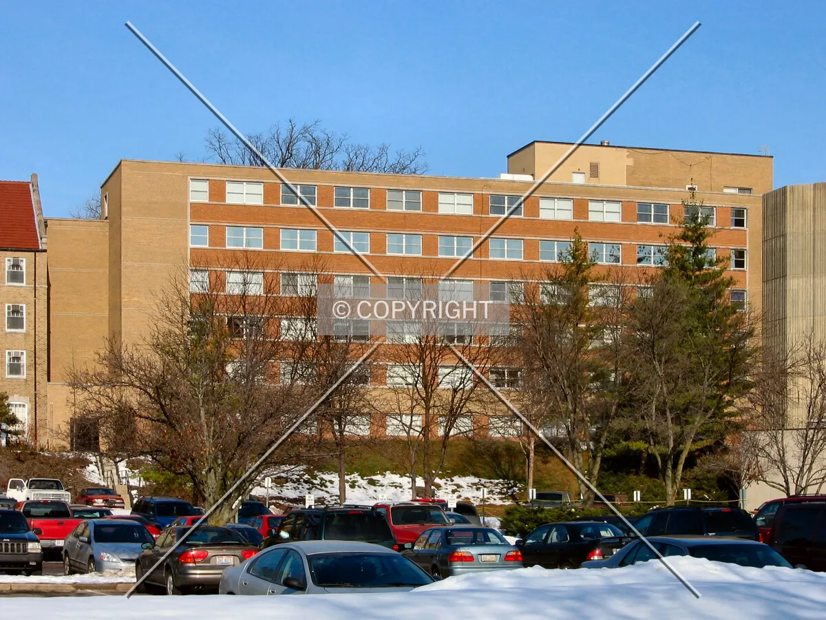 1951 wing, from the south