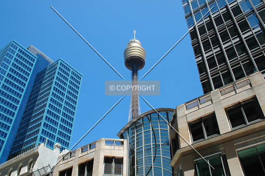 Photo 782-375-978