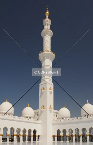 Photo 078-239-054
