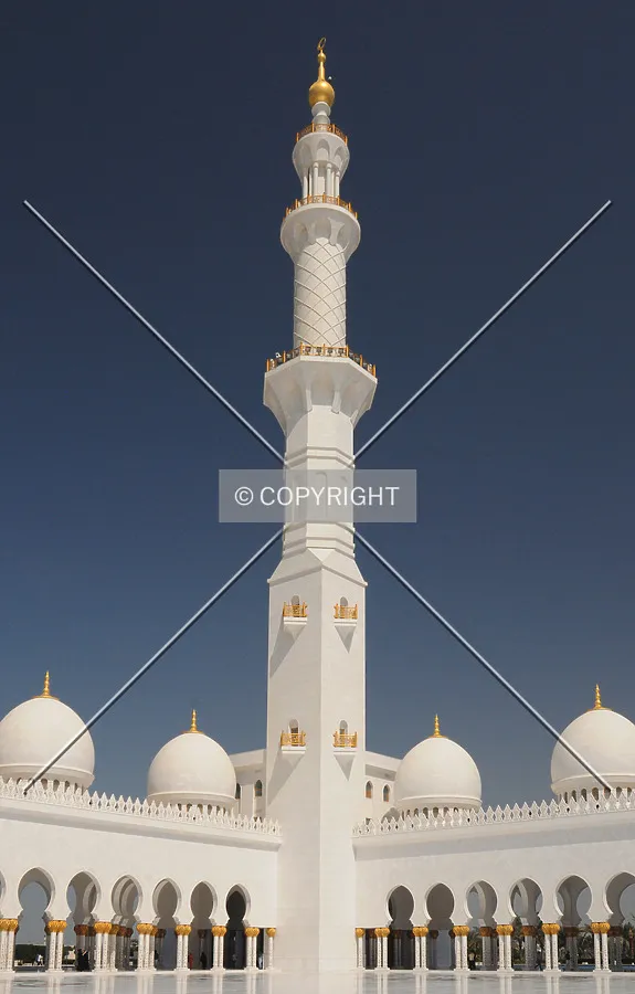 Photo 078-239-054