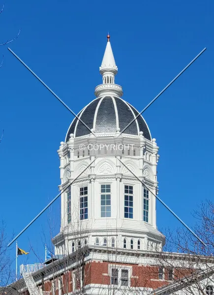 Photo 078-239-538
