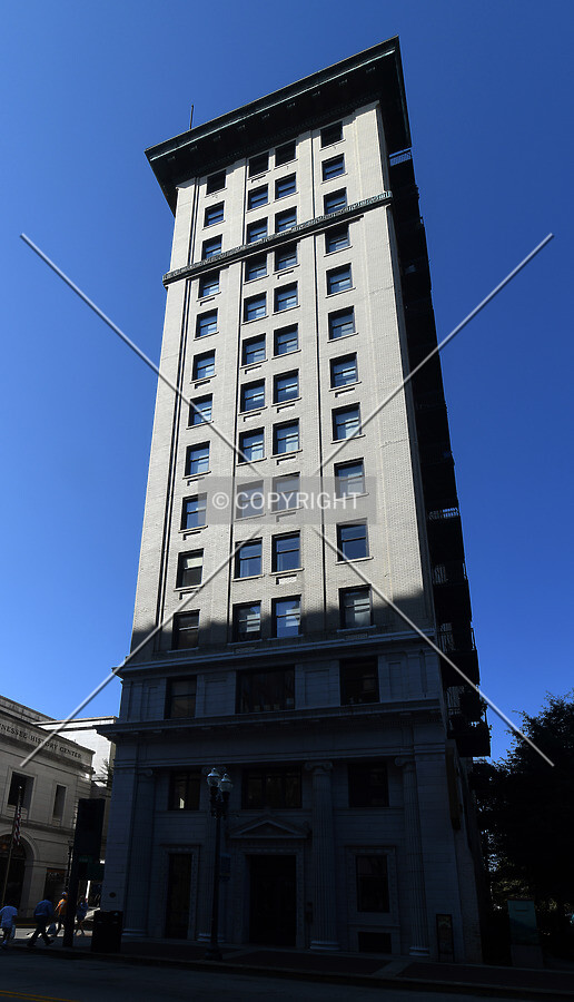View from the east