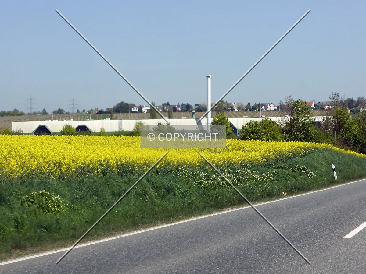 Photo 078-285-562