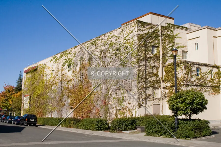 Photo 078-295-596