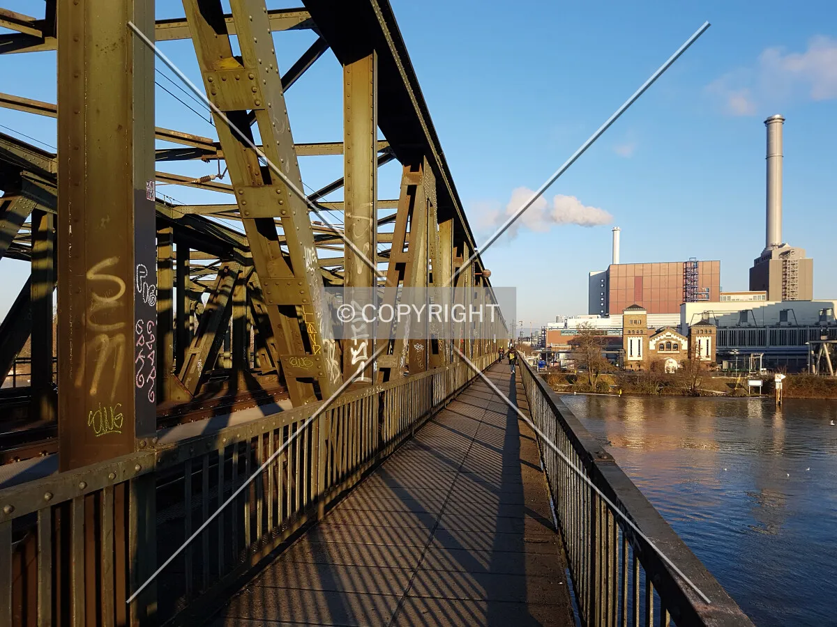 Photo 782-971-993