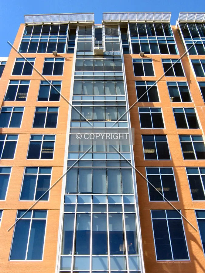 Looking up from Doty Street