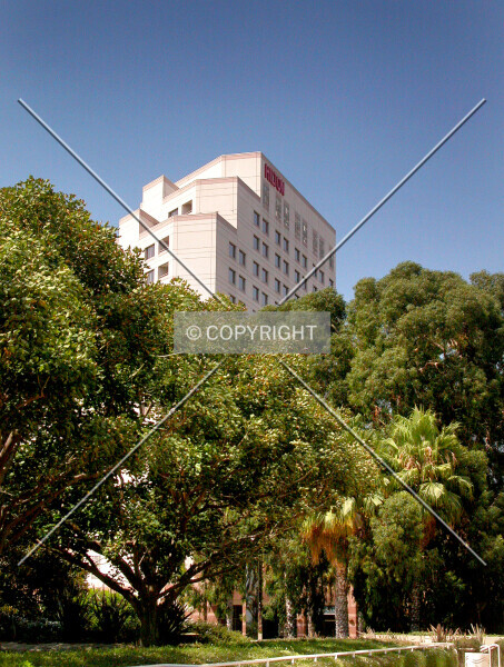 Photo 783-704-656