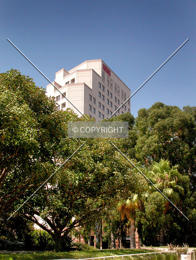 Above foliage from the south