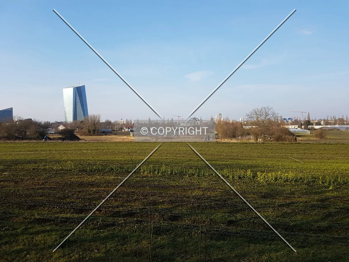 ECB skycraper and fields in Frankfurt-Oberrad