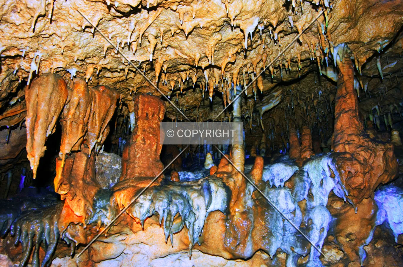 Florida Caverns State Park, 3345 Caverns Rd, Marianna, Florida, U.S.A.