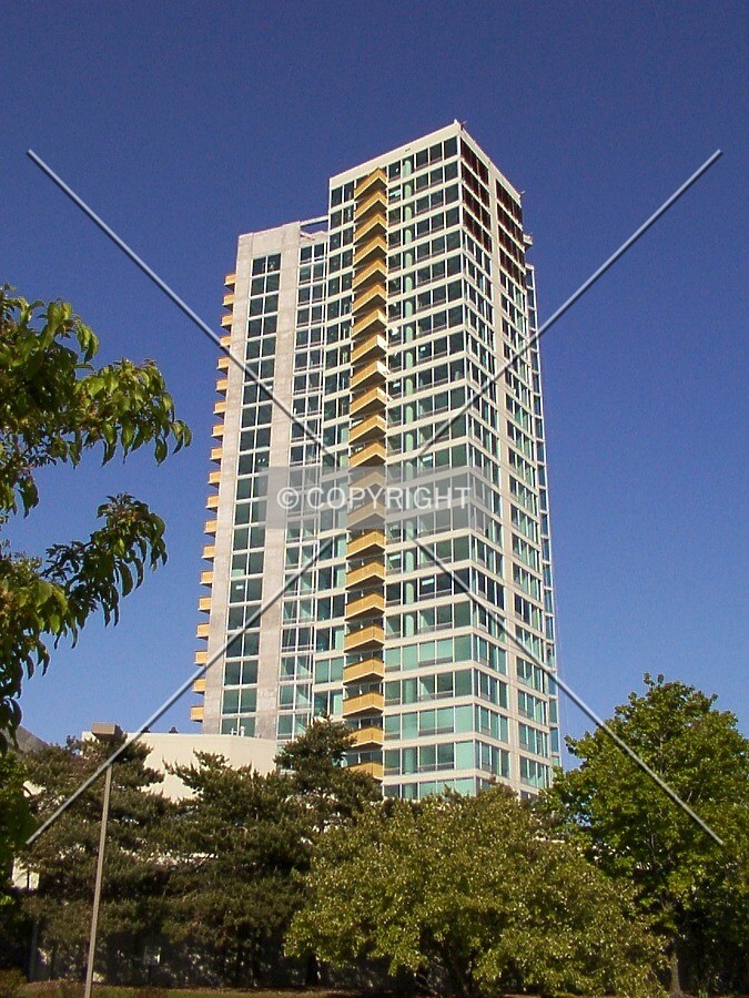 View from the west