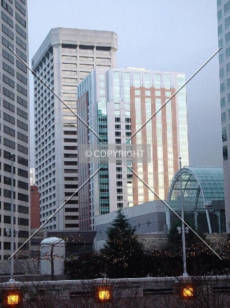 Photo 784-015-810