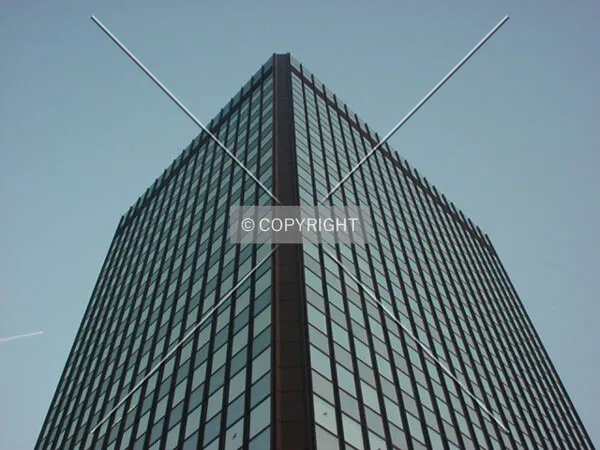 View to the top