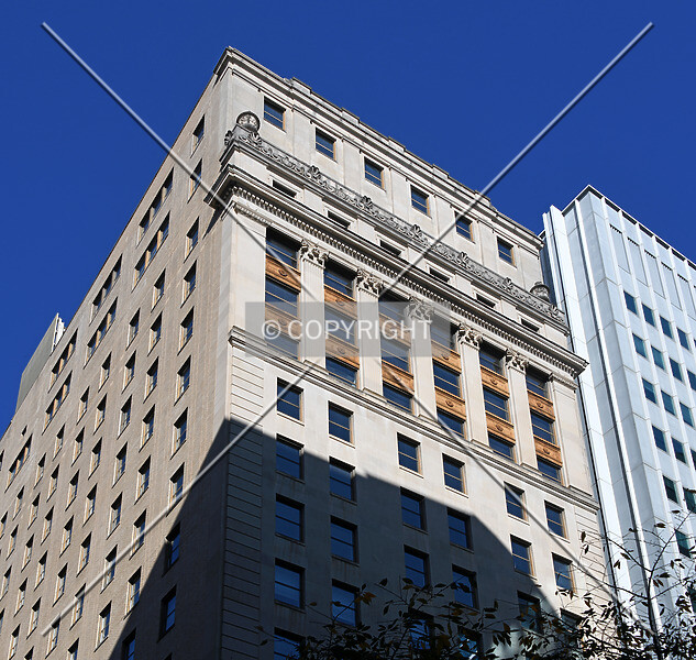 Photo 784-201-881