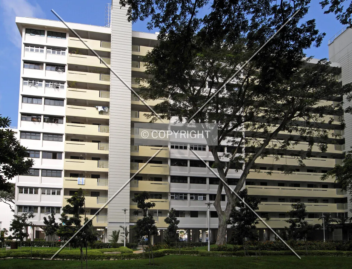 View from the southeast