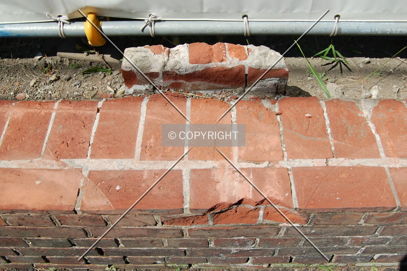 Photo 784-499-409