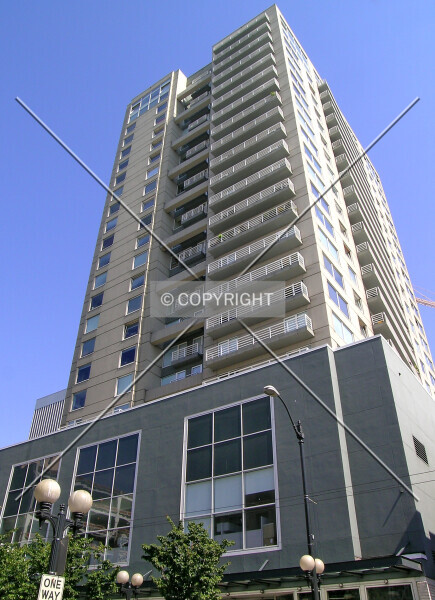 Photo 784-588-933
