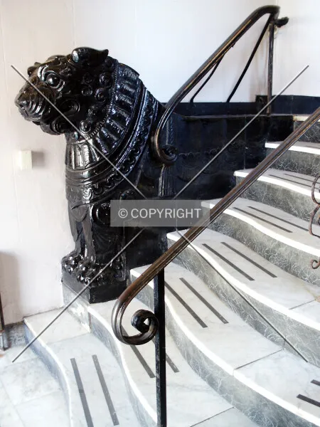 Photo 784-742-795