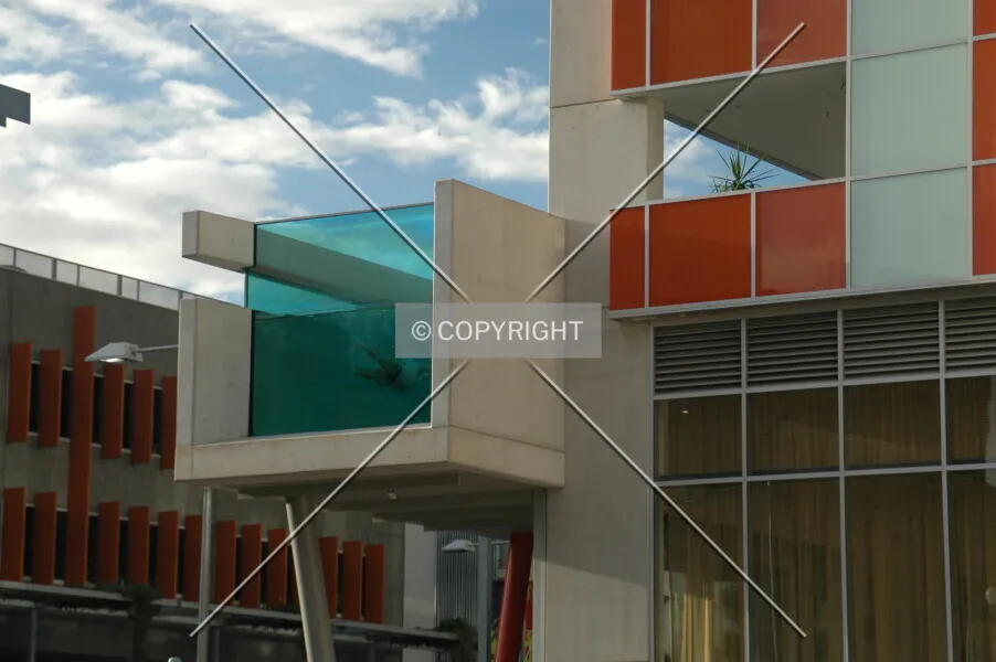 Photo 784-973-530