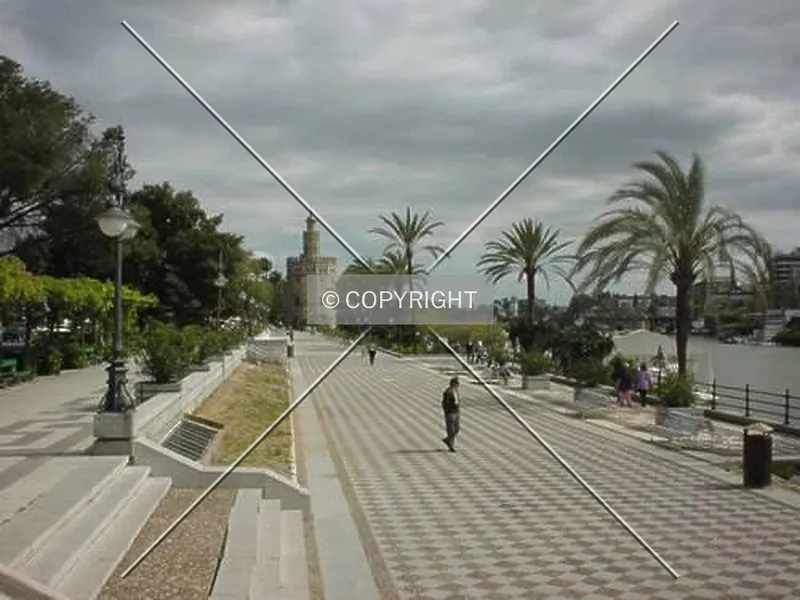 Photo 078-529-279