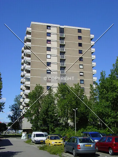 Photo 785-886-344