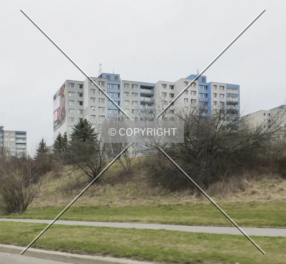 Photo 078-597-824